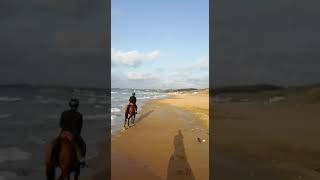 Horse Riding on Beach