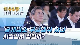 '중개업소 부당행위 차단' 시장질서 잡힐까? / 머니투데이방송 (뉴스)