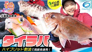 【タイラバ】ハイブリッド釣法で狙う志摩沖のタイラバ マダイ\u0026高級魚連発の秘密！