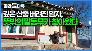 방치되어 폐절이 된 암자에 홀로 들어간 스님에게 찾아온 말동무 영지｜한국기행｜#골라듄다큐