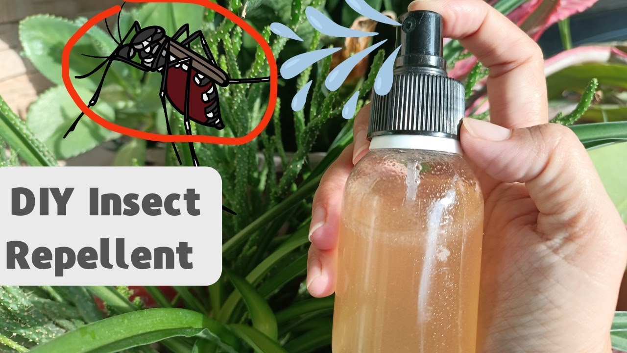 Homemade Insect Repellent Homemade Ftempo