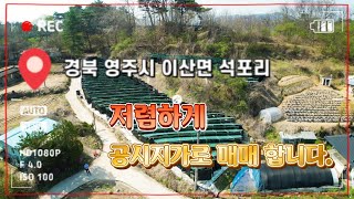 [4K] 매번 : 450 / 이산면 석포리 / 공시지가 금액으로 #급매로 처분합니다.