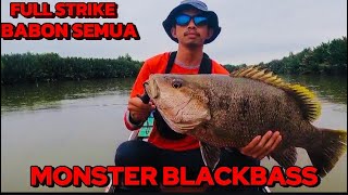 Asli pesta Strike MONSTER BLACKBASS tidak sia2 ke spot BABON || FULL TROLLING