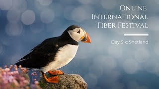 Online International Fiber Festival, Day 6: Shetland