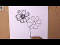 charcoal pencil sketch drawing cosmos flower easy drawing cosmos flower art video