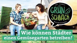 Grünschnack Edition #3 - Urban Farming: Wie können Städter einen Gemüsegarten betreiben?