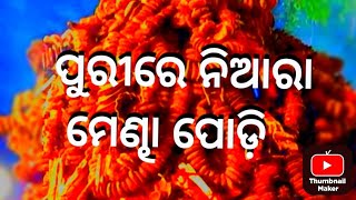 ପୁରୀରେ ନିଆରା ମେଣ୍ଢା ପୋଡ଼ି