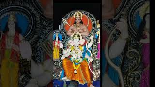 Ganpati bappa moriya | navsari ganesh aagman 2024 | #shorts #navsariganpati #trending #reel