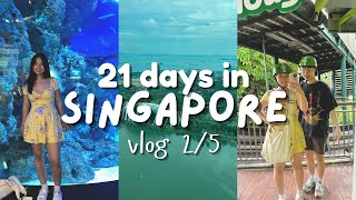 SINGAPORE vlog: SEA aquarium, singapore flyer, east coast park