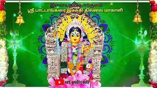 Elayanainarkulam | Sri Pattankarai Essaki Amman | status video | sri puliyadi