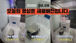 기계 오작동만 아니였다면 뽑기 쉬웠던 대박상품 💥인형은 잡는데 스르륵까지 오늘은 세로버전 ガチャガチャ