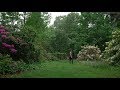 Planting Fields Arboretum Tour: Part 1 — Plant One On Me — Ep 079