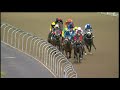 20210228 hollywoodbets greyville express clip race 3 won by coromandel