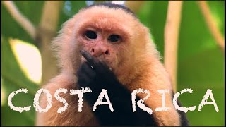 Travel to Central America | Cinematic Video 4K | The Tropics