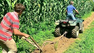 Boys love digging potatoes!