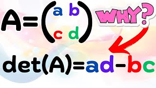 the why of the determinant formula