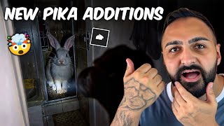 NEW Pika Additions: Instantly Add ANYTHING to Videos