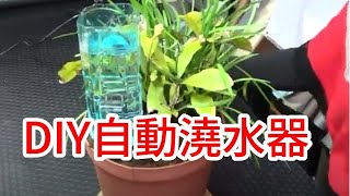 DIY自動澆水器 Self Watering Pop New Bottle Garden plastic bottle plastic bottle