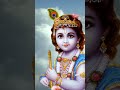 ekadashi daiva rathosava govinda sovinda