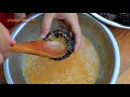 Yummy Urchin Grilling Recipe - Urchin Cooking - Cooking With Sros