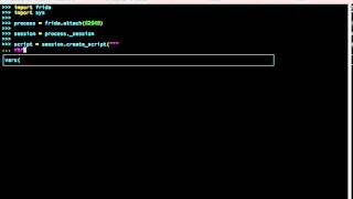 Python Frida Native Function call