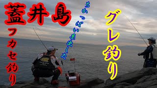 山口県蓋井島でグレ釣り！まさかの“とんでもない魚”がヒット！