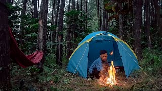 Одиночный кемпинг в тропическом лесу | Расслабляющий кемпинг в густом лесу в сезон дождей