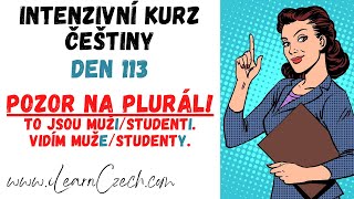 Intensive Czech course 113: Plural of masculine animate nouns - the -I ending