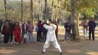 Wudang Kungfu—long hua quan