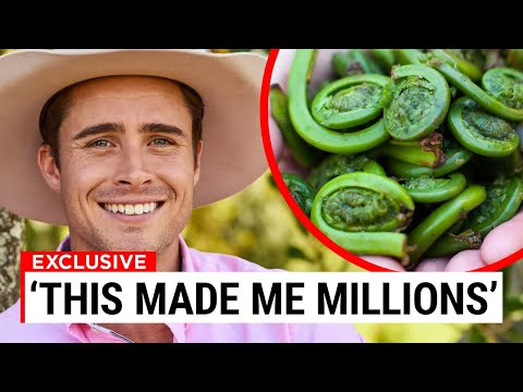 Is potato a cash crop?