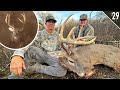 Bow Hunting SMALL Acreage Public Land!!! (GIANT 8 Pointer)