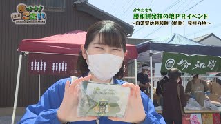 湖西市の情報が満載！「知っトク！週刊こさい」（2022年5月2日号）