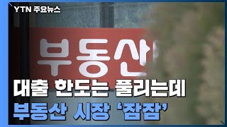 대출 한도는 풀리는데...돈 더 빌려 집 사는 건 '글쎄' / YTN