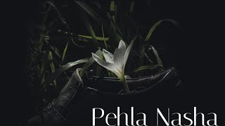 💖🌈😍 Pehla Nasha - Udit Narayan || Indian Lofi Hip Hop || Bollywood Lofi