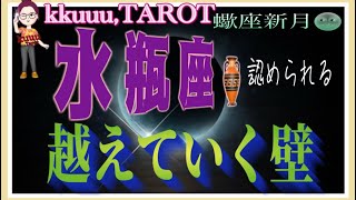 自由になること🕊水瓶座♒️さん【蠍座新月🌚〜今なら出来る❣越えていく壁どう越えていくか】#2024 #星座別リーディング #タロット占い