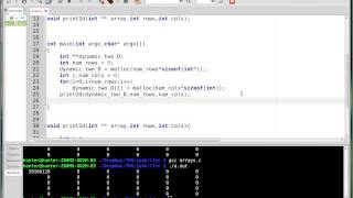 Dynamic Two Dimensional Arrays! C Tutorial 13