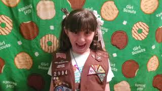 Girl Scout Cookie Program: Cookie Execs do Digital Cookie