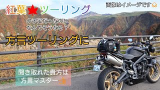 【モトブログ】#05  紅葉ツーリングの予定だったのに方言ツーリングに😫