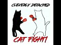 cat fight