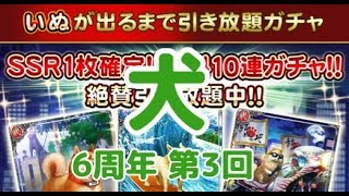 【戦国炎舞】 6周年　犬ガチャ　第三弾