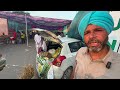 25 ਕਿੱਲੇ ਵਾਲਾ ਮਿਹਨਤ ਕਿਸਾਨ ਕਰਦਾ ਕੁਦਰਤੀ ਖੇਤੀ organic farmimg business