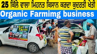 25 ਕਿੱਲੇ ਵਾਲਾ ਮਿਹਨਤ ਕਿਸਾਨ ਕਰਦਾ ਕੁਦਰਤੀ ਖੇਤੀ Organic Farmimg business