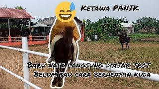 Latihan berkuda pemula di bobz stable - hari pertama