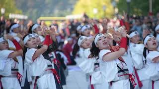 郷人　第16回ドリーム夜さ来い　丸の内会場　2017年11月5日