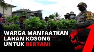 Wujudkan Ketahanan dan Kemandirian Pangan, Warga Samarinda Manfaatkan Lahan Kosong | tvOneketaha