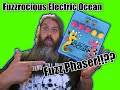 Exploring the Fuzzrocious Electric Ocean