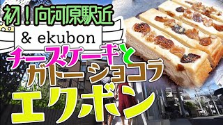 ふらっと向河原駅のekubonエクボンへ！おいしいスティックチーズケーキとガトーショコラのお店で珍しいイチジクくるみの絶品チーズケーキ食す。こりゃうめぇぇぇ。【川崎市中原区】