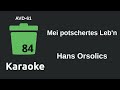 Hans Orsolics - Mei potschertes Leb'n (Karaoke) [AVD-61]