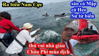 Khoa Pug Ra Biển Nam Cực Săn Cá Mập, Sư Tử Biển - Thú Vui Nhà Giàu Châu Phi - Big 5 Ocean