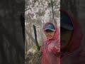 bisa jadi itu bukan orang ⚠️ ytshorts ceritahorrorstory gunungsalak